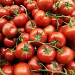 Tomatoes